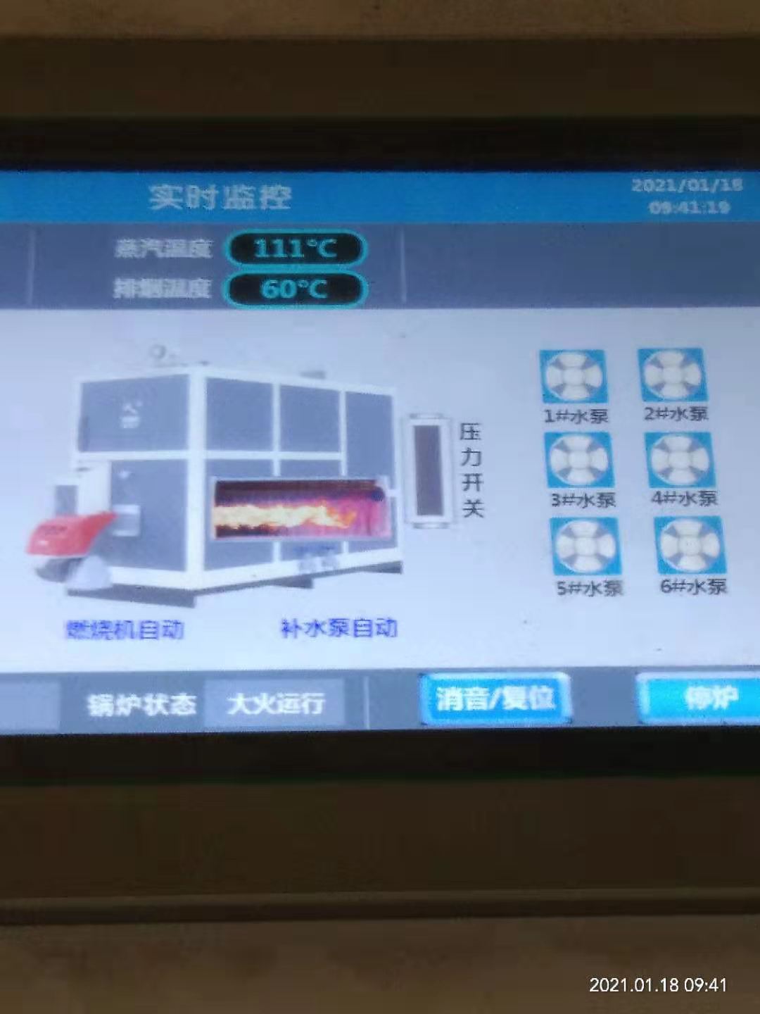 山东XX药业有限公司