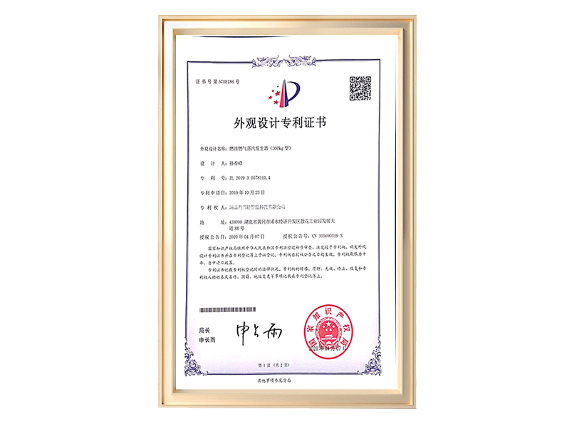 油燃气蒸汽发生器（300kg型）
