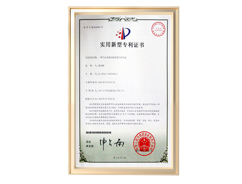 一种全自动两用蒸汽发生器