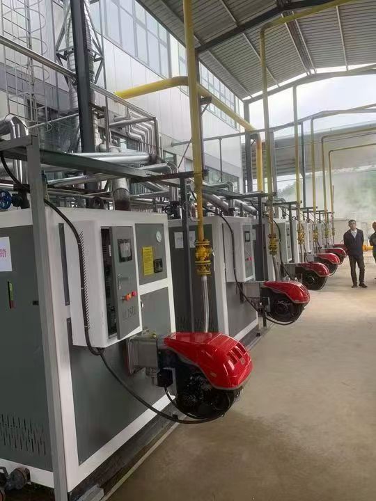 小型燃气蒸汽发生器多少钱？影响设备价格与选型的关键因素解析